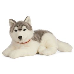 PELUCHE GÉANTE - CHIEN HUSKY